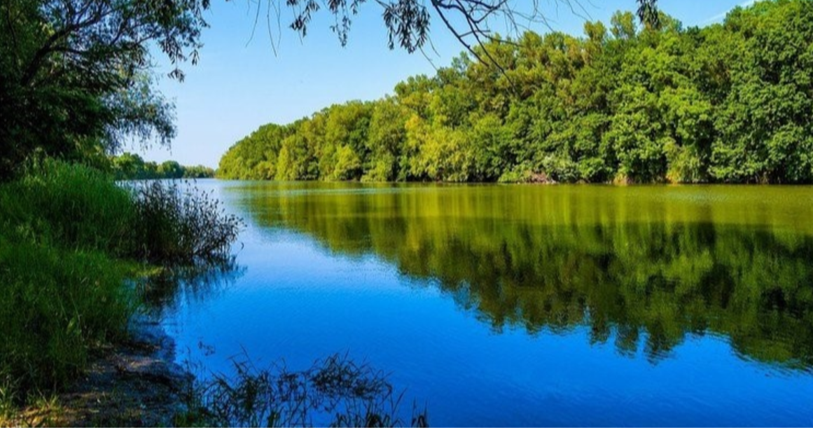 Дністровська Амазонія