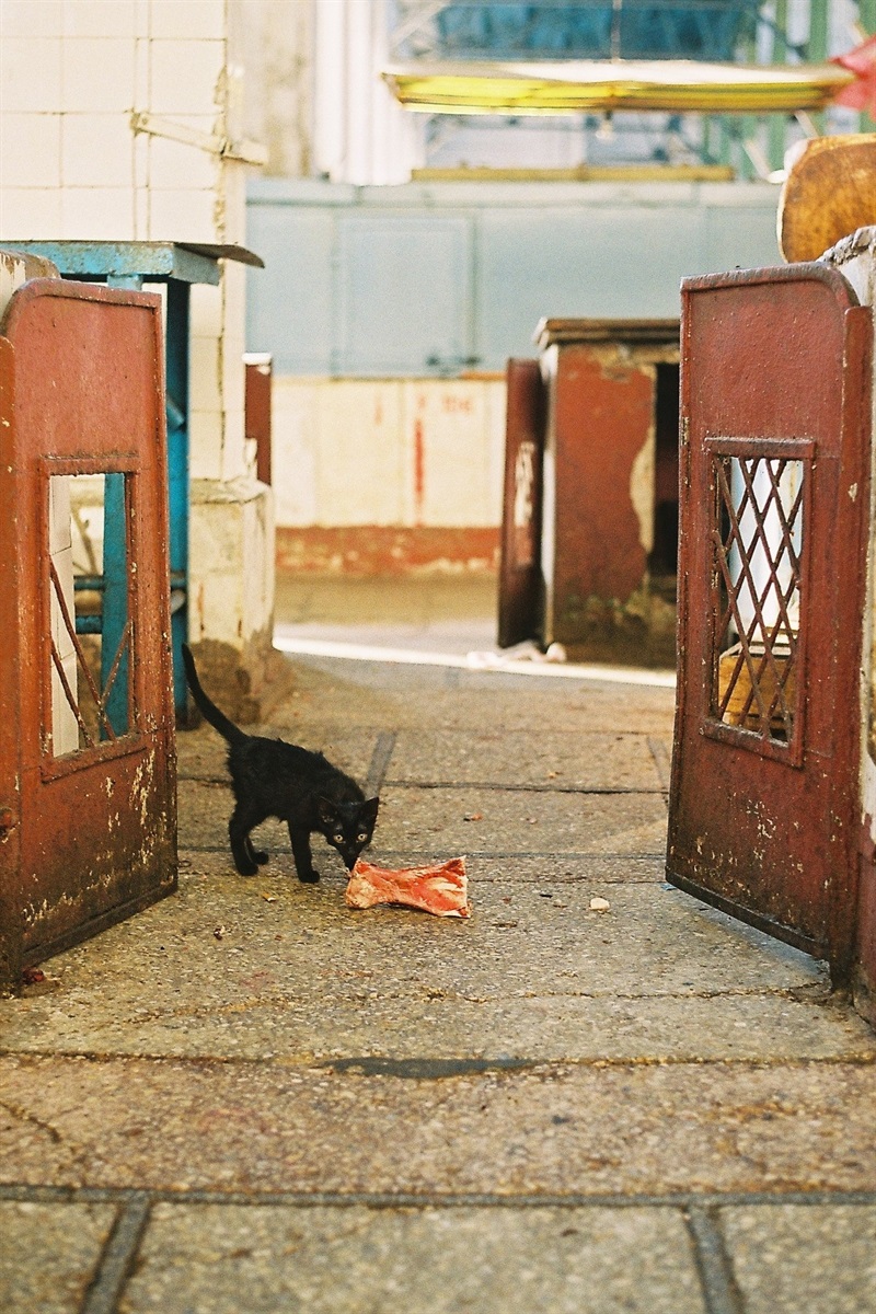 Новий Ринок до ремонту, 2011 рік