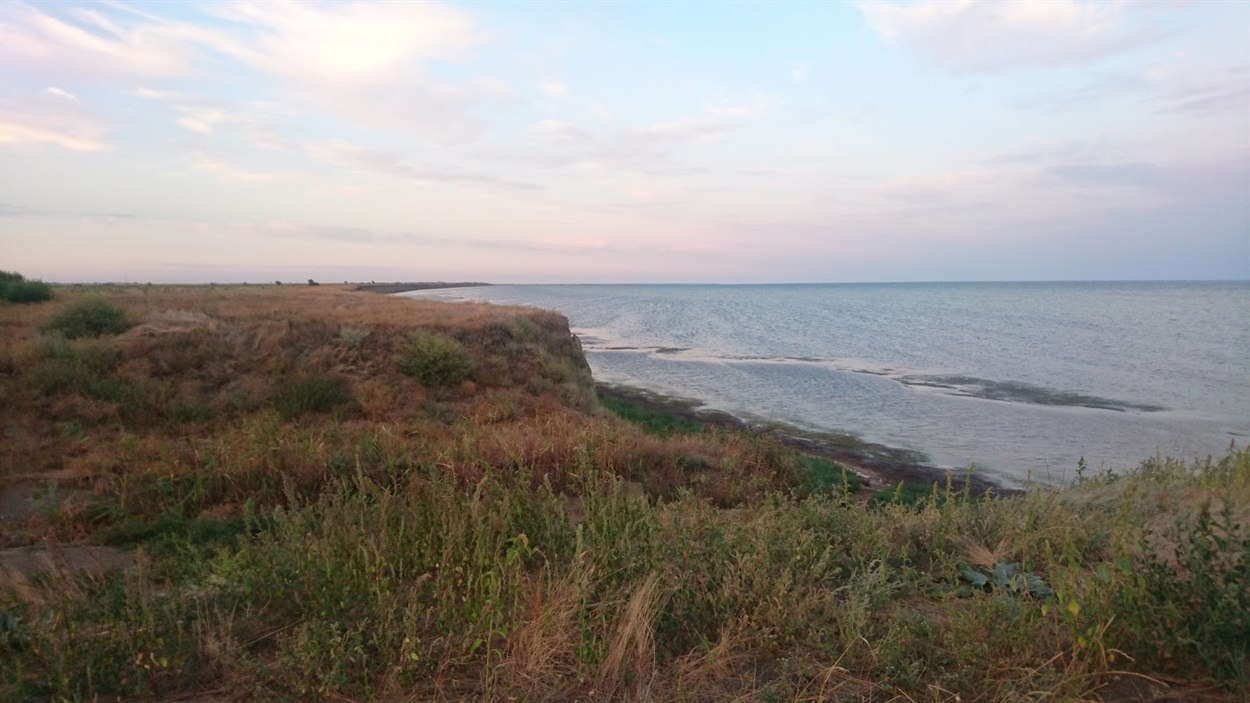 Наприкінці літа і ранньої осені біля Азовського моря багато колючого насіння рослин.