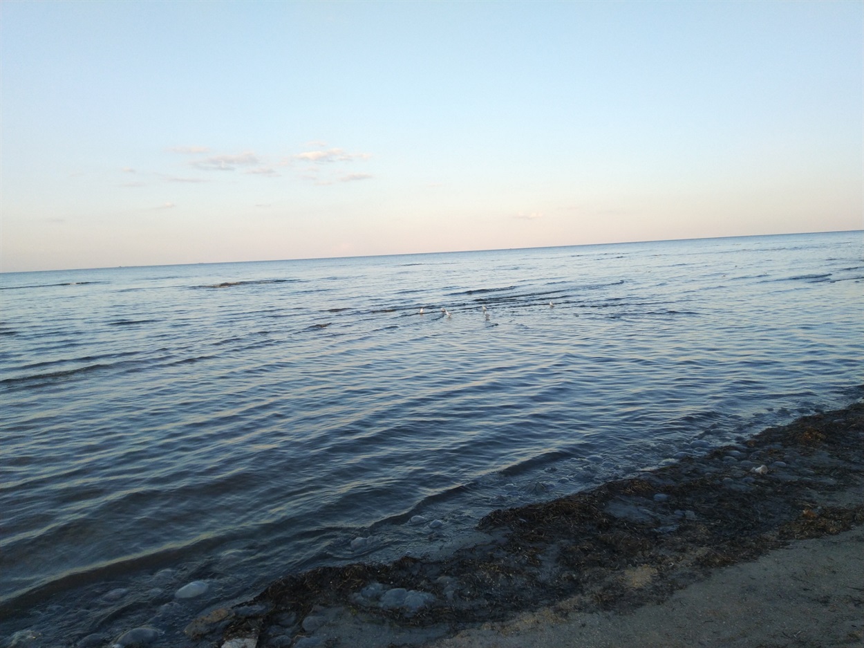 Море в Генгорке - чайкам по колено