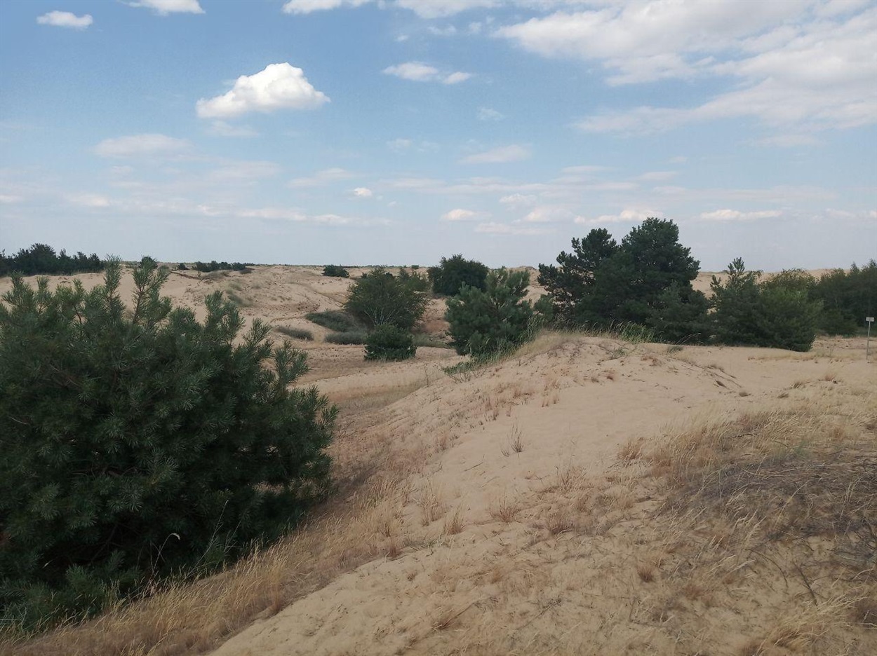 В пустелі є оази з лавами, де можна перекусити