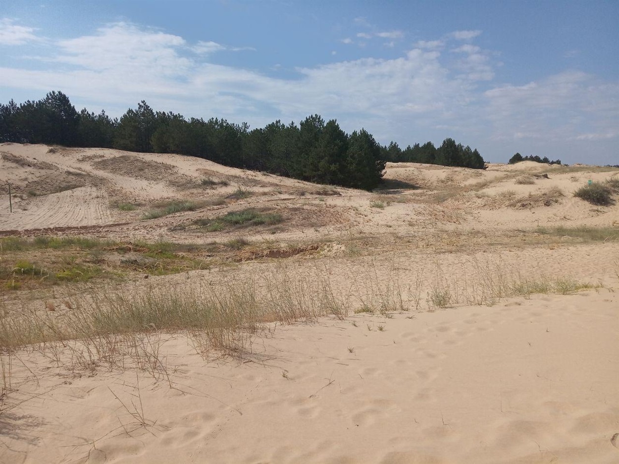 Космічні краєвиди найбільшої пустелі Європи