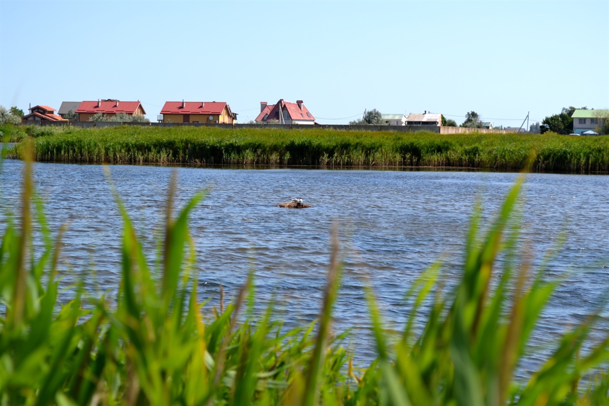 будинки на горизонти біля води