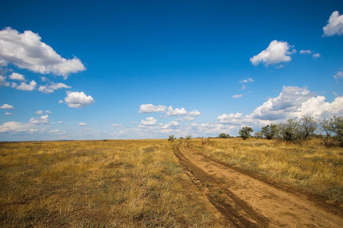 Куяльник дорога