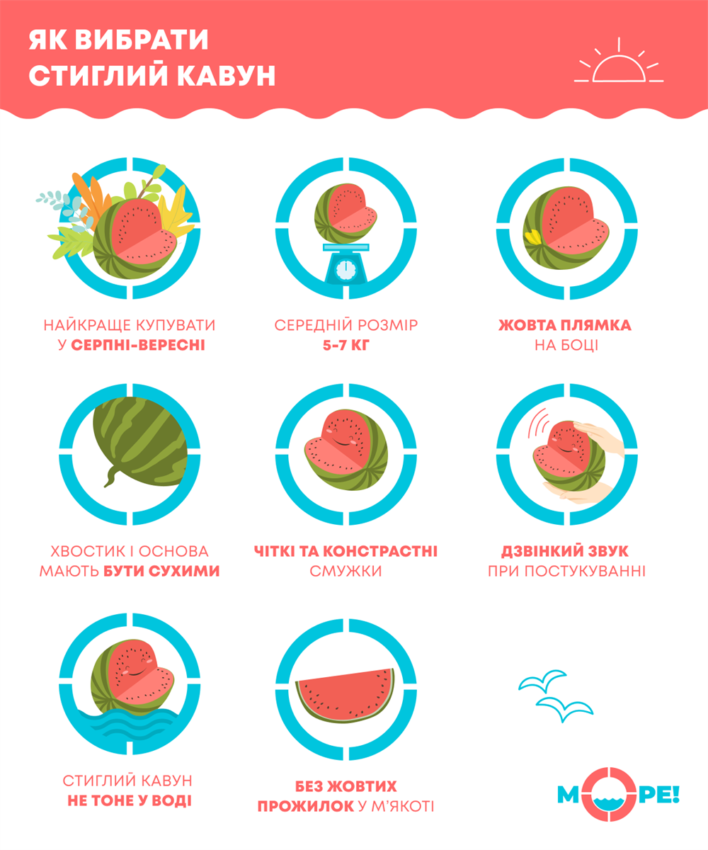 інфографіка як вибрати кавун