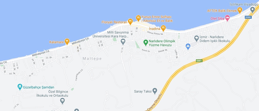 Google Maps