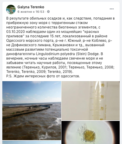 червоний приплив