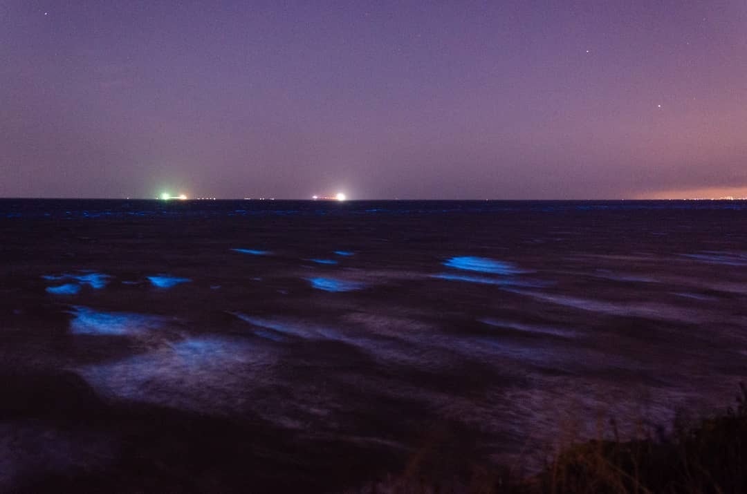 Море світиться