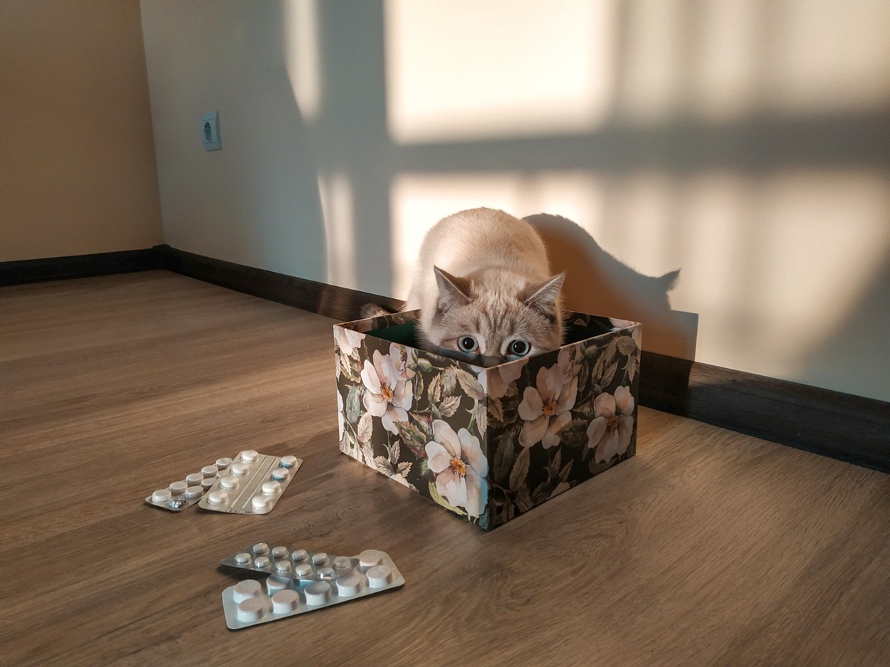 аптечка для кота