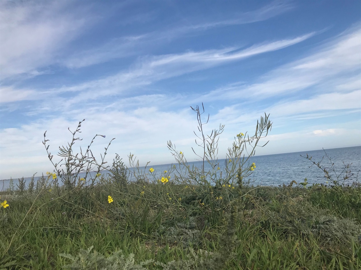 море