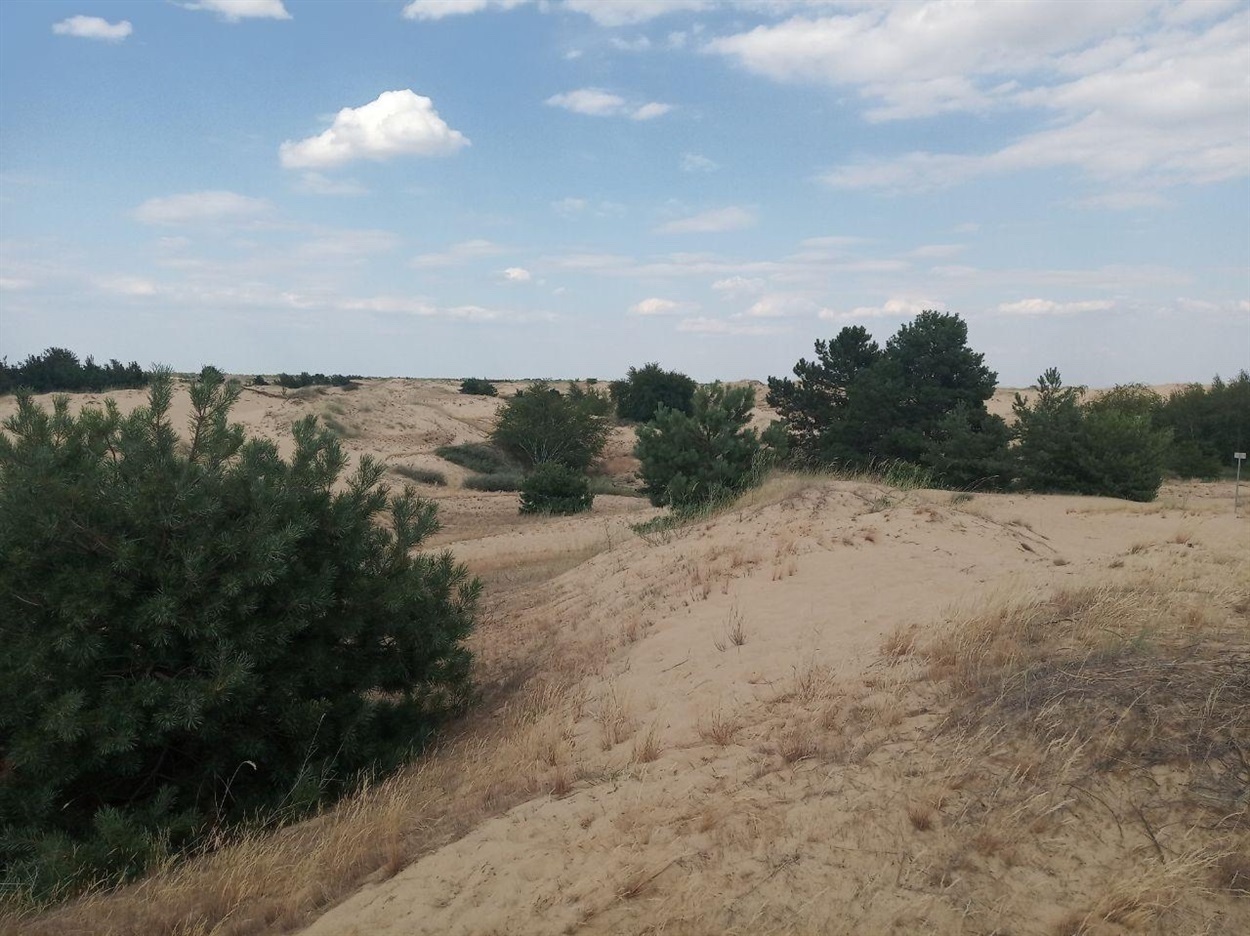 олешківські піски