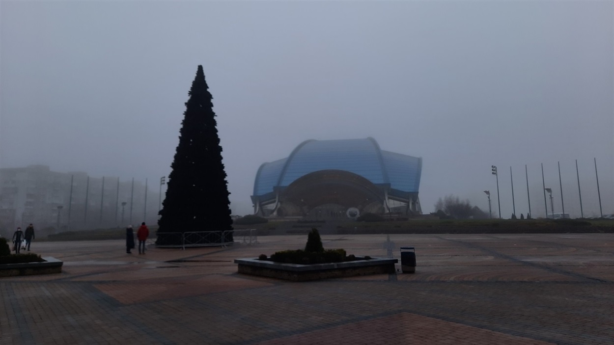 Южное елка