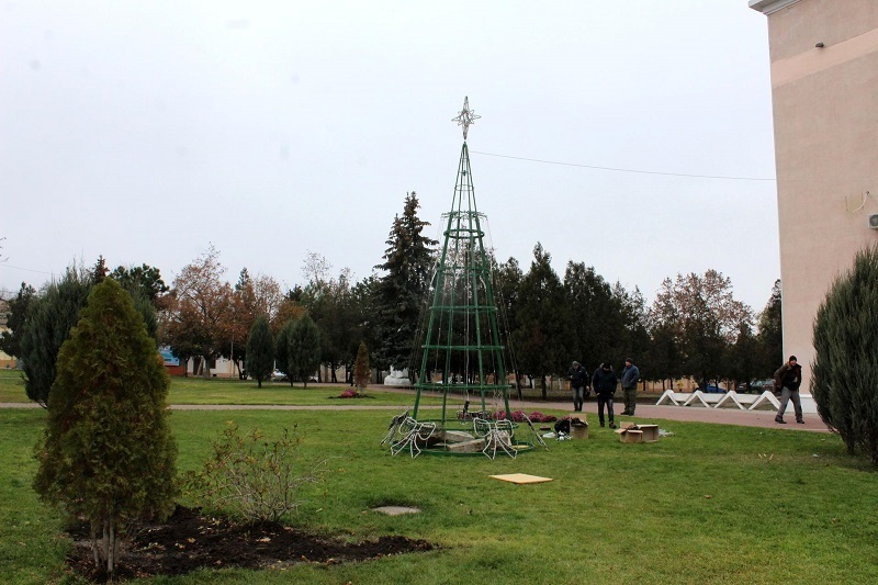 Белгород-Днестровский елка