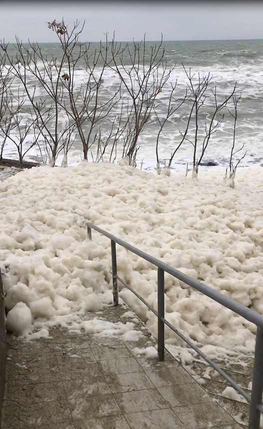 Cappuccino Coast в Одесі