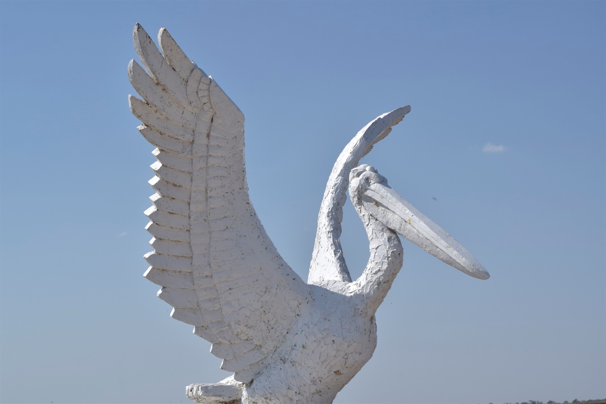 Пеликан Тузловская Амазония