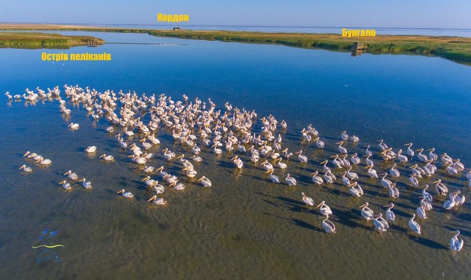 тузлівські лимани