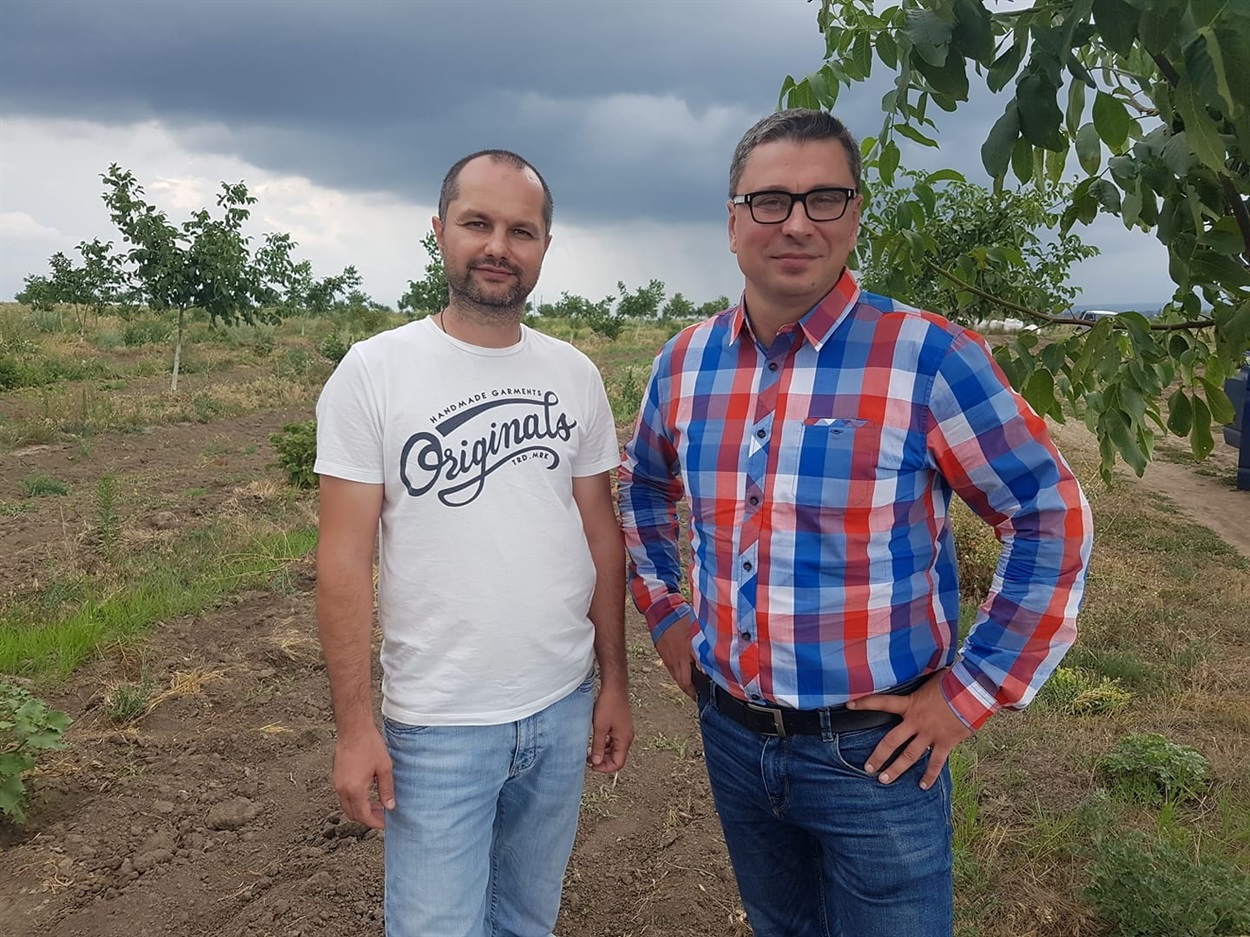 горіхівництво 