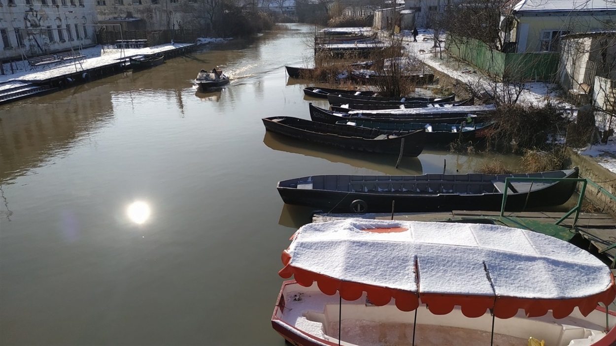 вилково