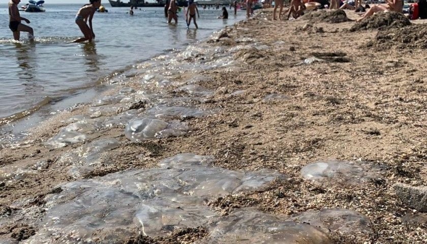 азовське море