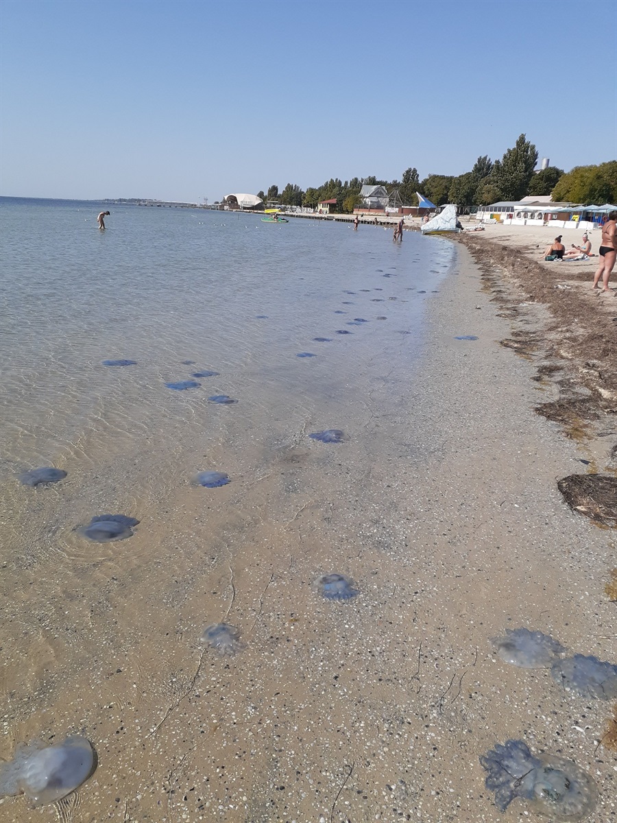 скадовськ