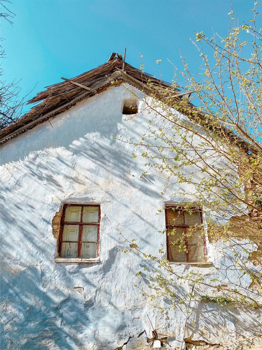 Будинок в Петрово-Солонисі