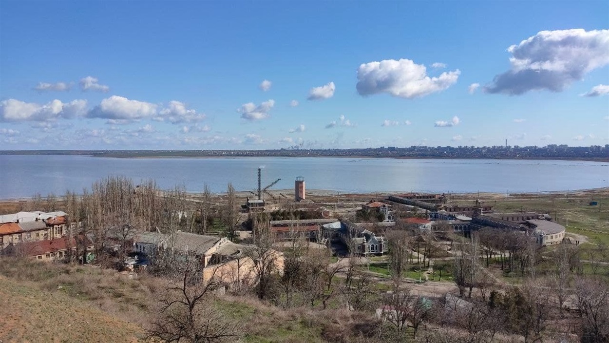 куяльник