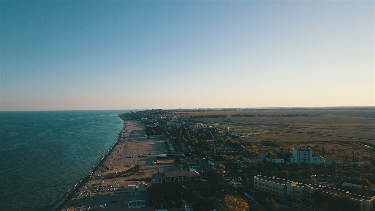 грибовка