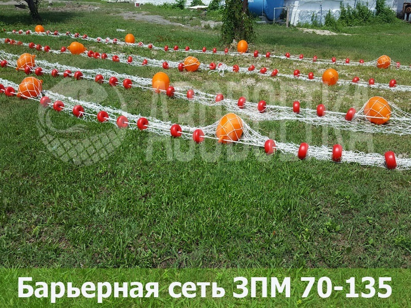 сетка
