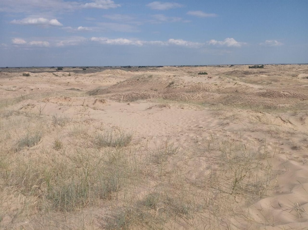 олешківські піски