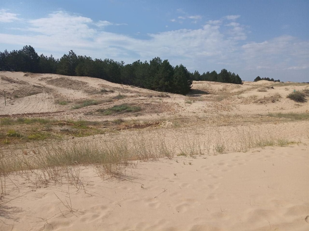 олешківські піски