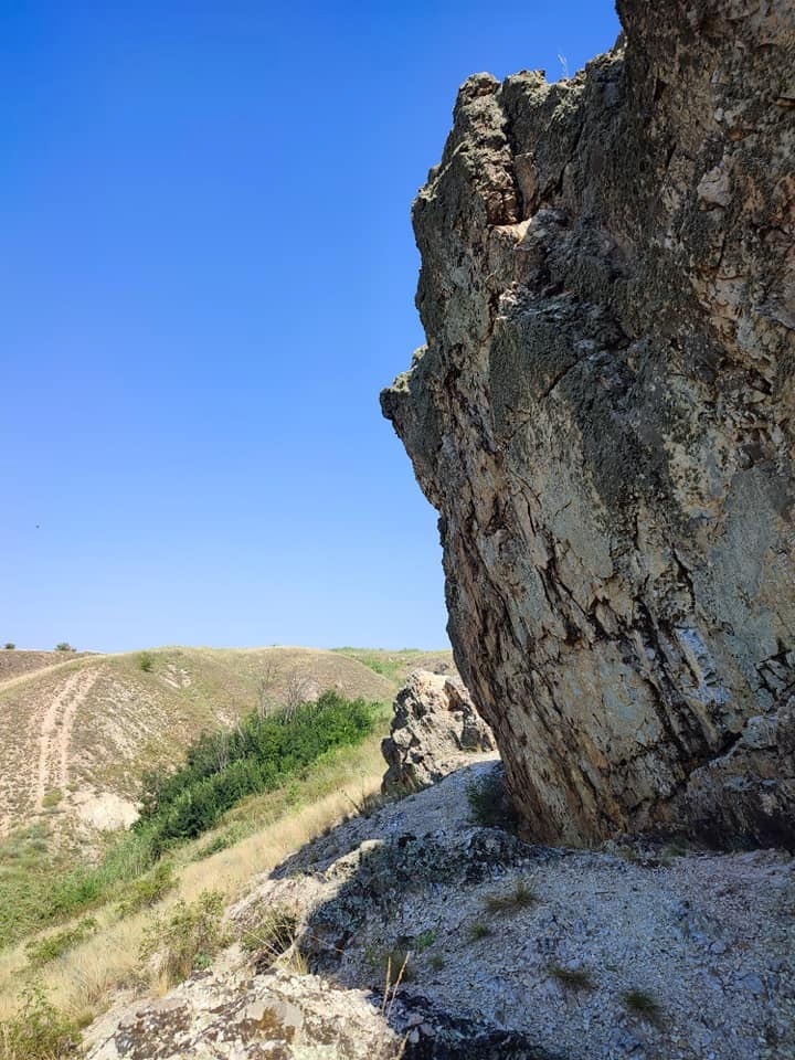 селі ослячі вуха