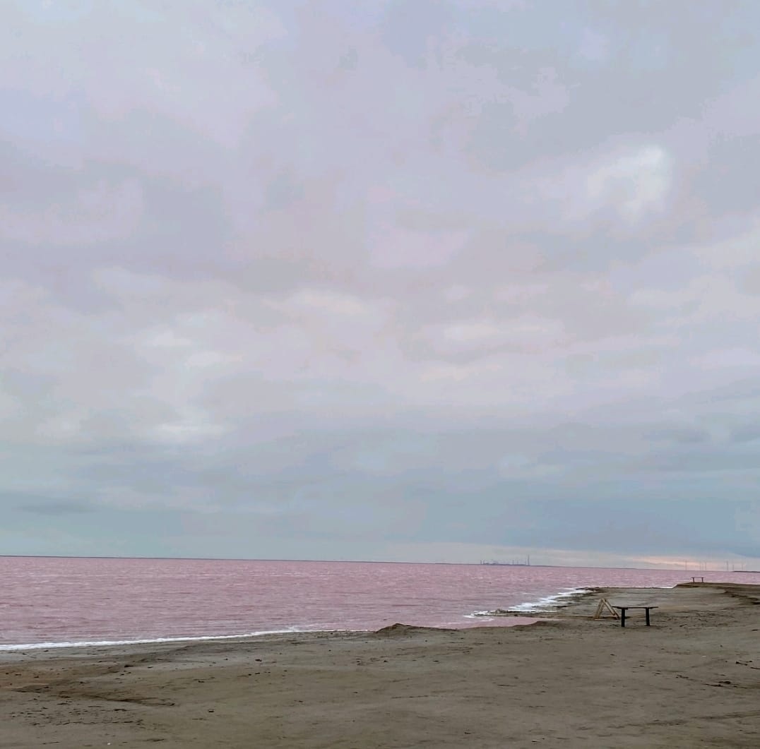 рожеве озеро