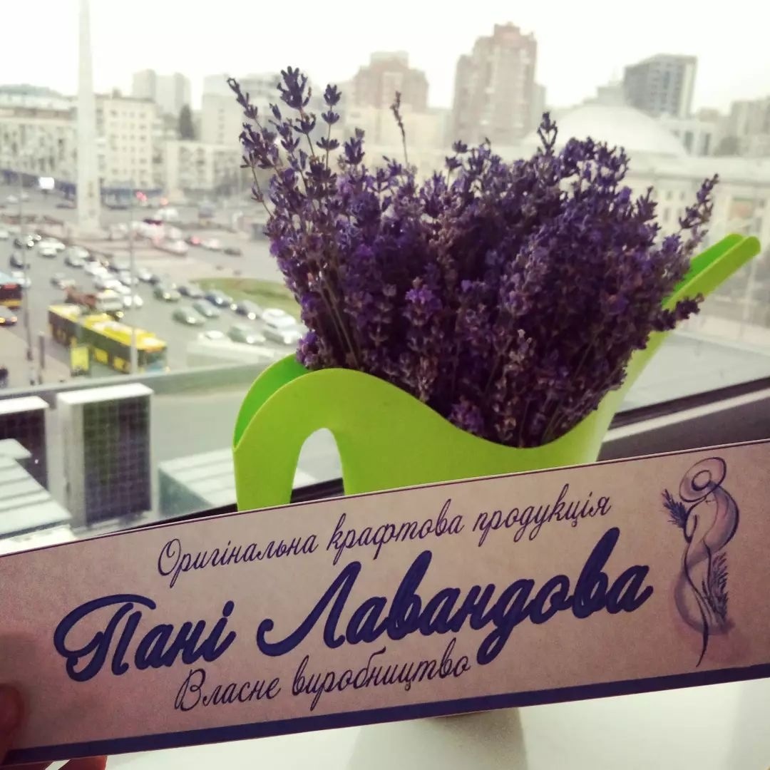 пані лавандова