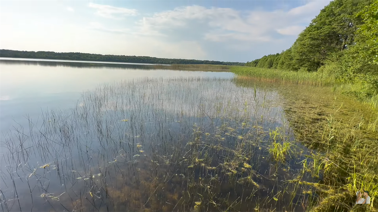 Озеро Соминець - для справжніх поцінувачів дикого відпочинку