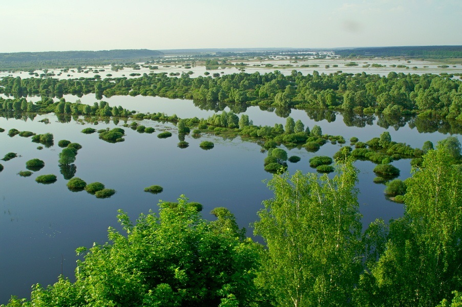 Розлив Десни на Чернігівщині