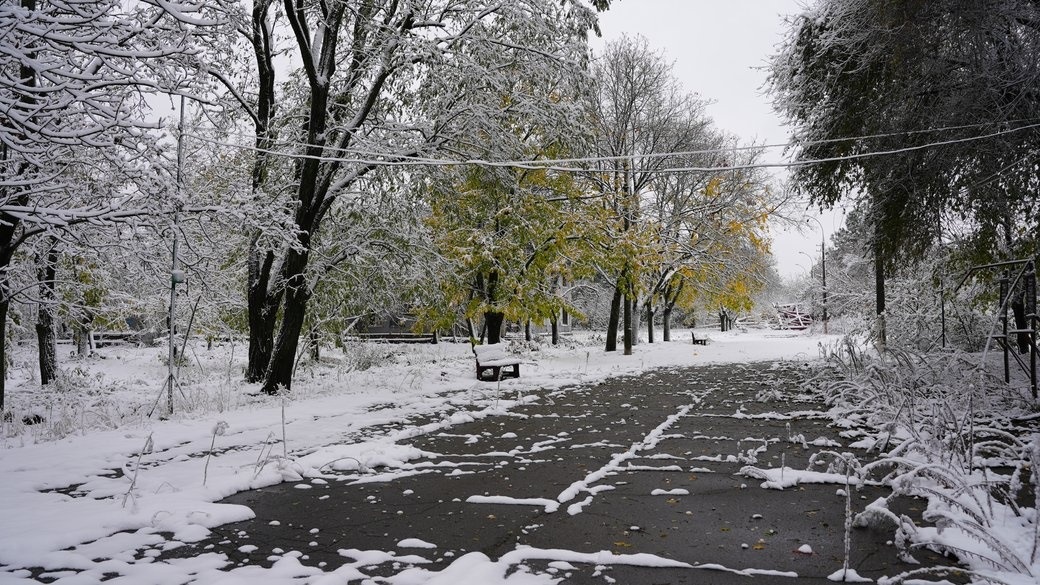 Засніжений парк в одному з районів Херсона. 