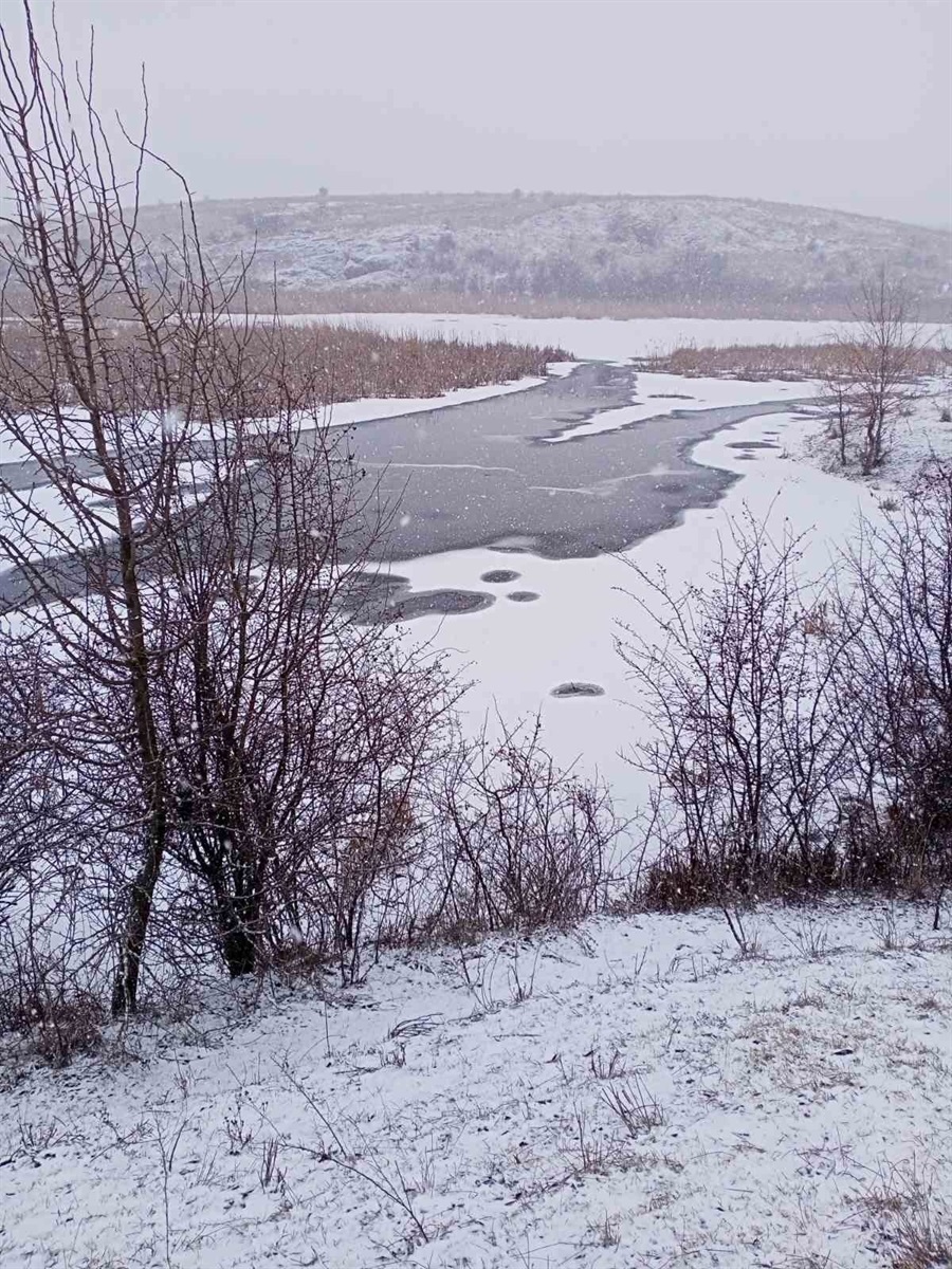 Приінгульський ландшафтний парк