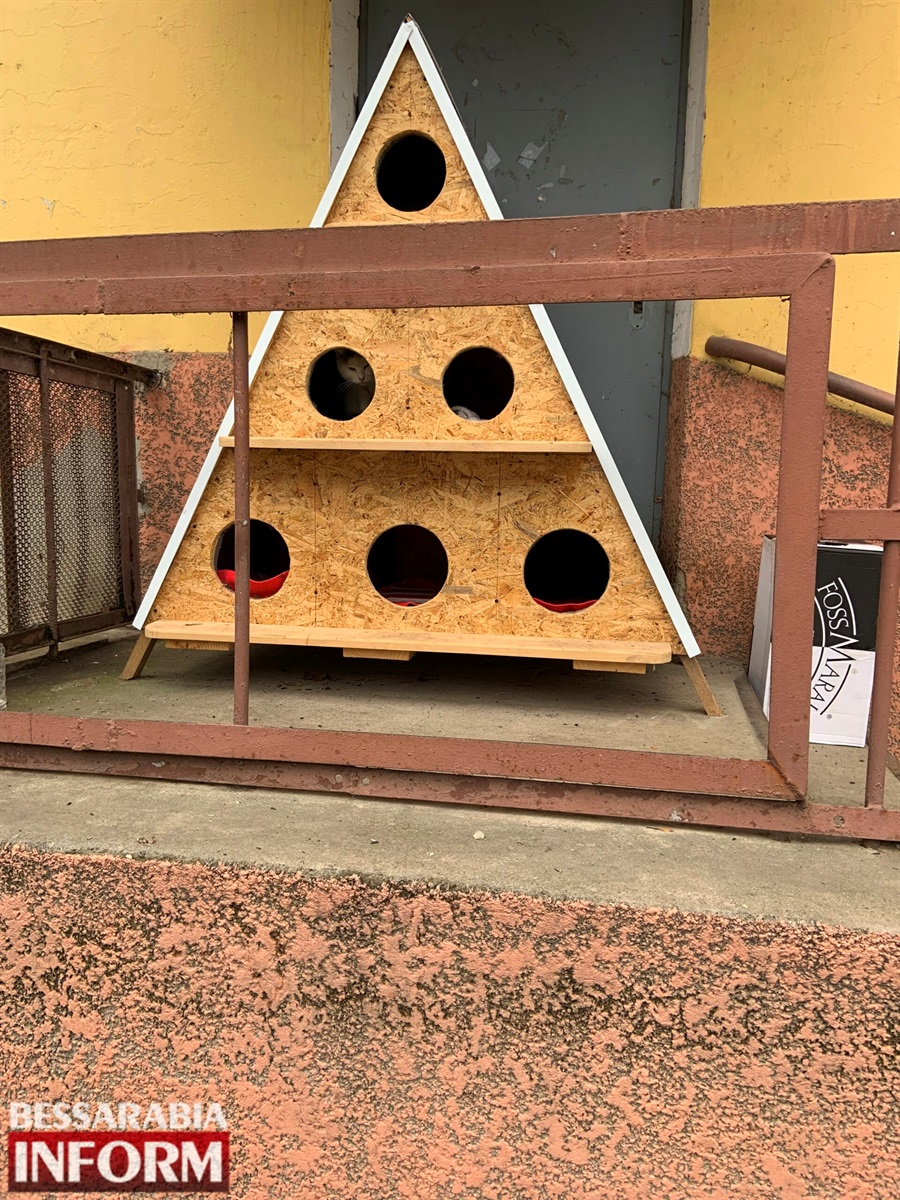 Котобудиночок у Ізмаїлі