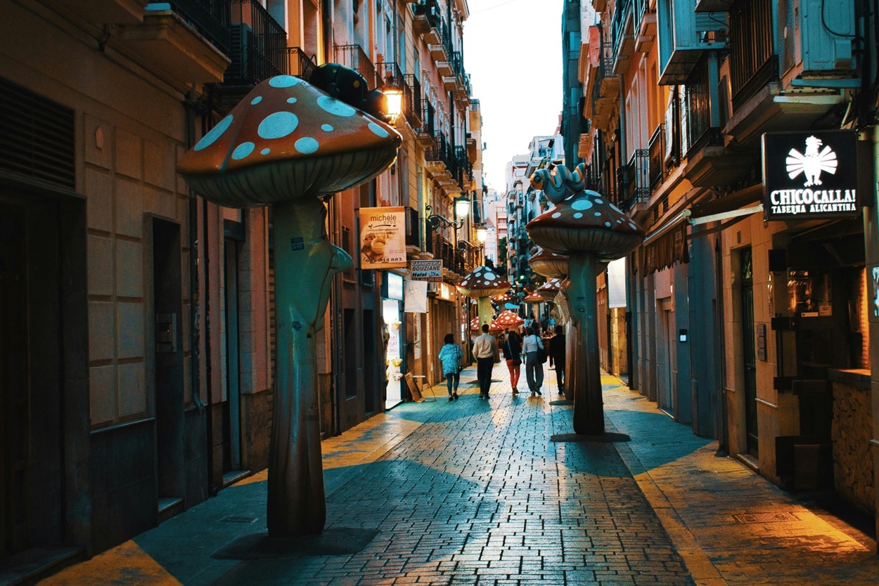 El Carrer dels Bolets аліканте