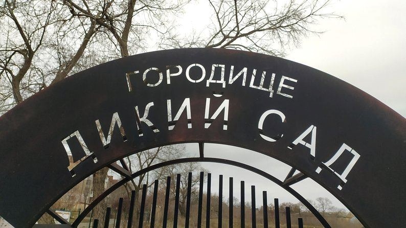дикий сад в Миколаєві