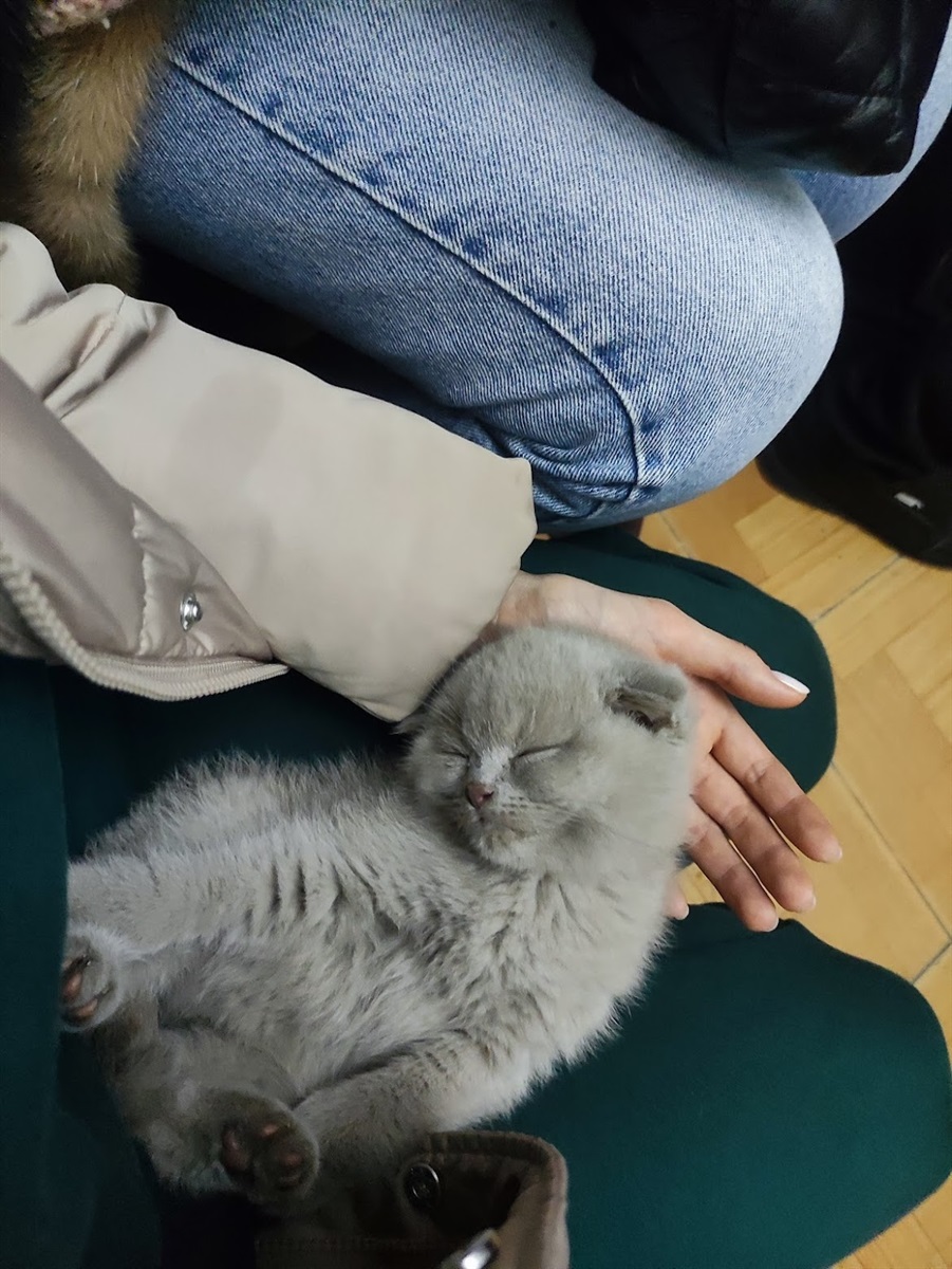 херсон