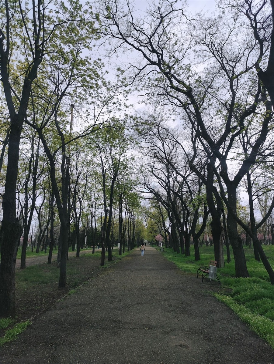 миколаїв
