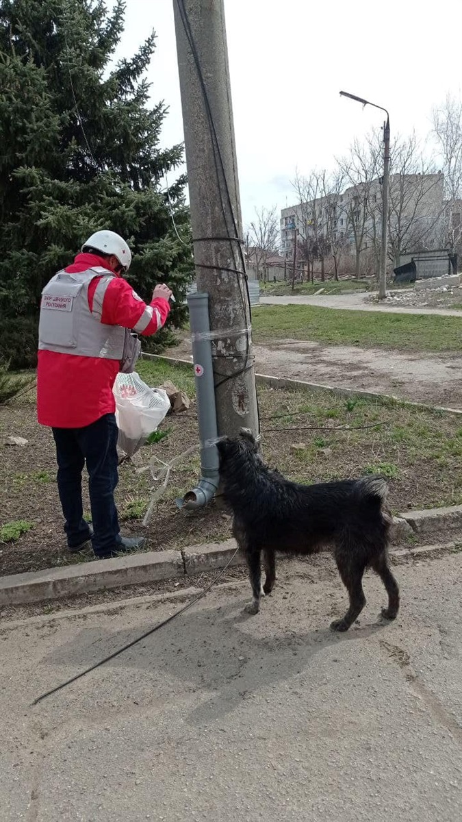 Встановлення годівниць в Оріхові