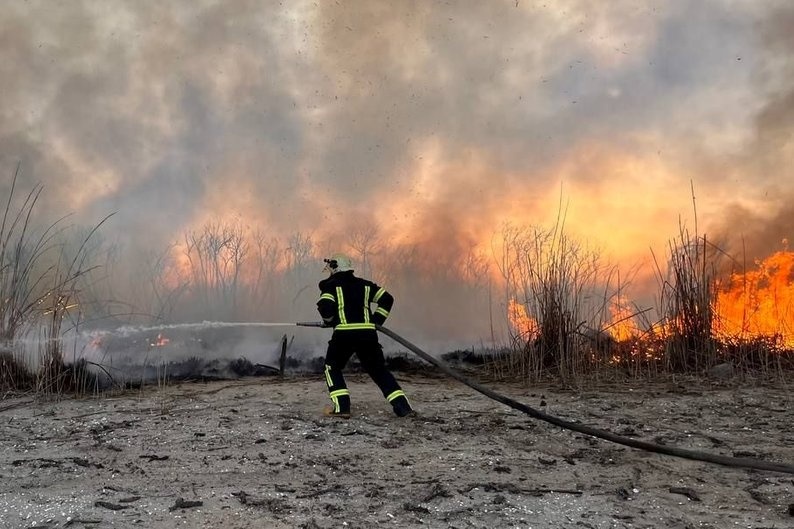 Рятувальники ліквідовують пожежу у плавневій зоні річки Дніпро на Запоріжжі, 1 квітня 2024 року.