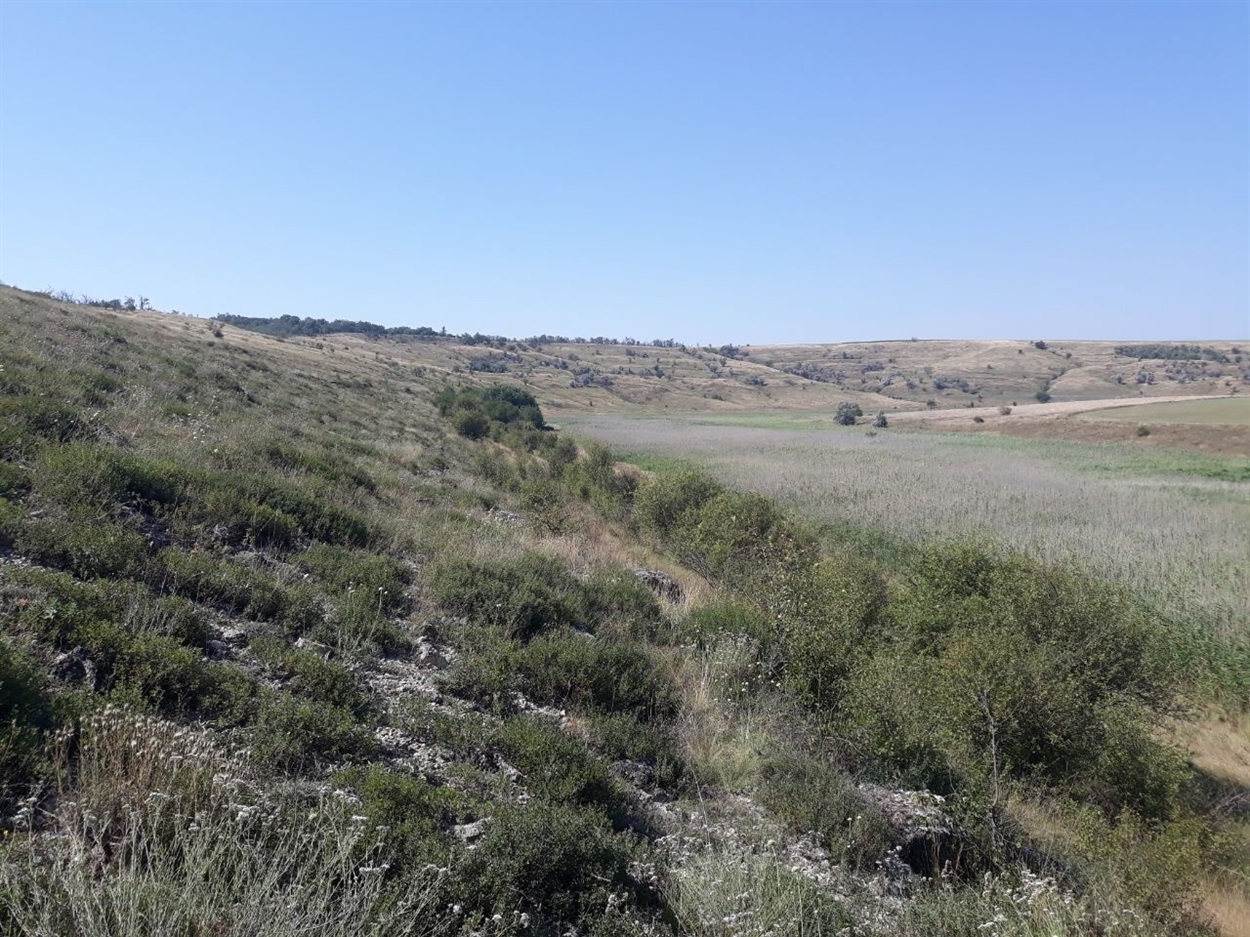 Миколаївські степи