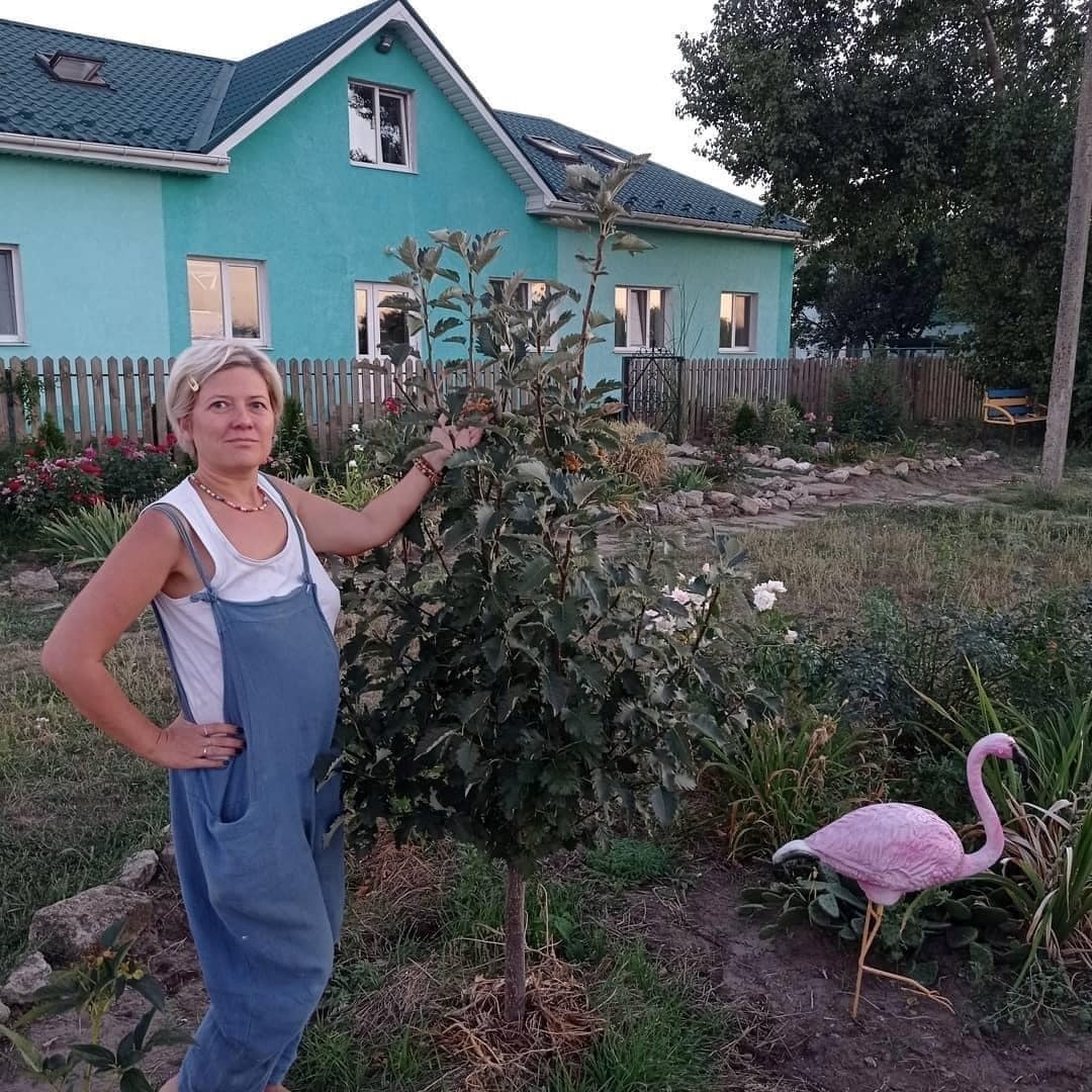 Будино родини павлових у Василівці
