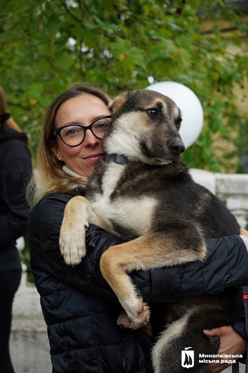 Учасники Dog-market у Миколаєві