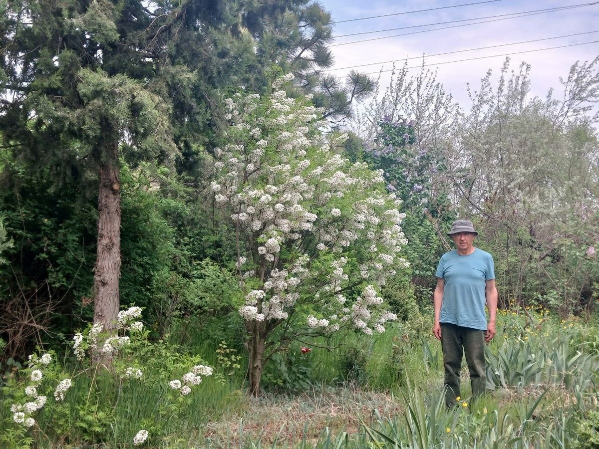 ботанічний сад арциз