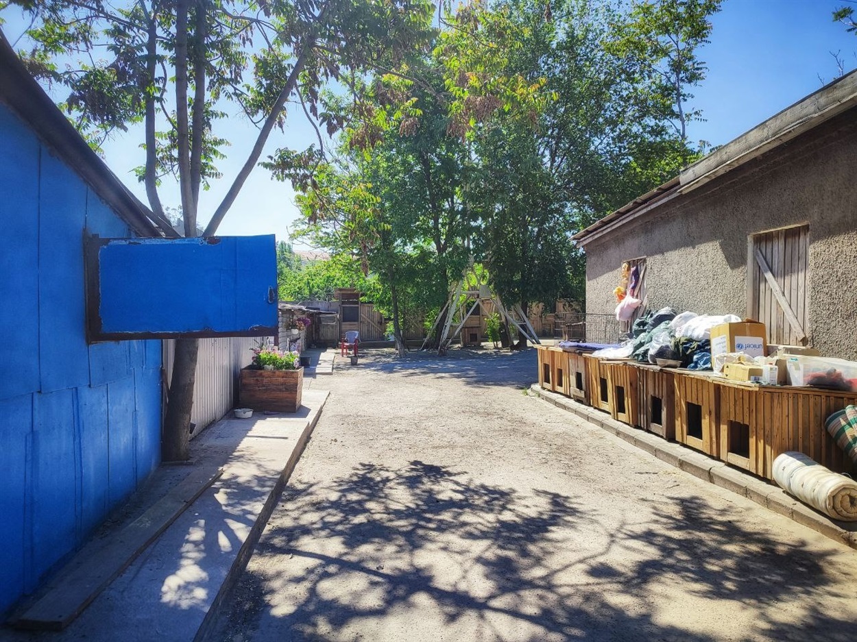 Двір притулку для тварин