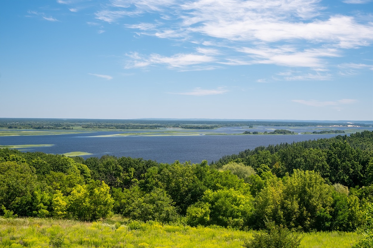 Витачів